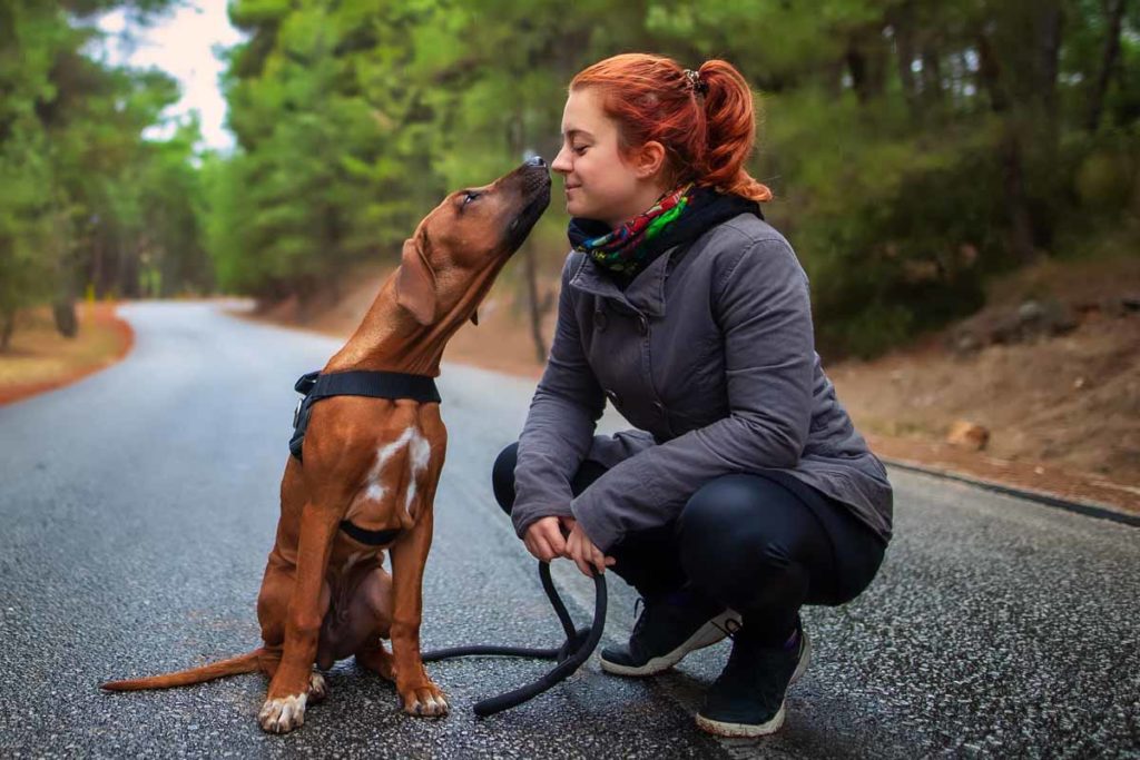 stress management techniques, redheaded woman getting attention from dog