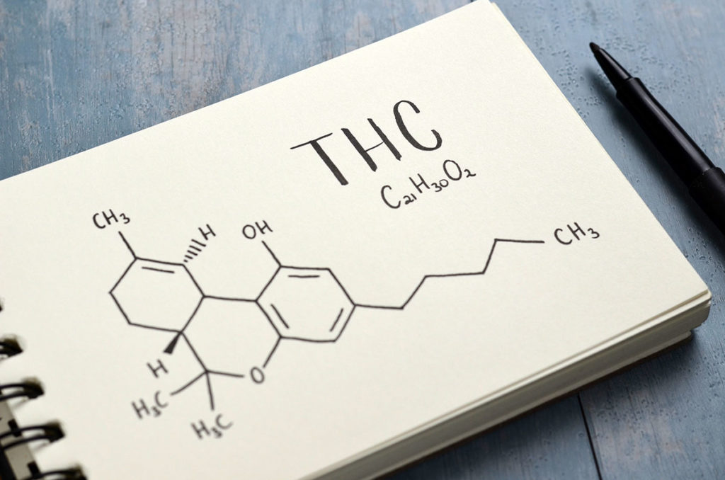 a notebook showing what is thc