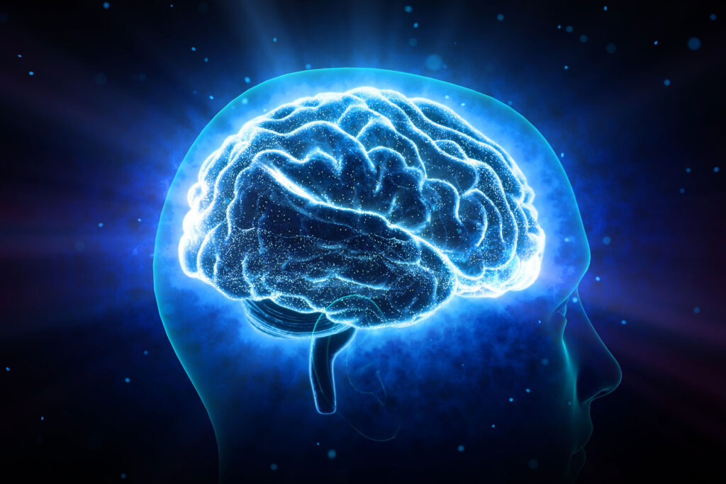 Visualization of the effects of fentanyl on the brain